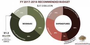 2017 Budget Overview