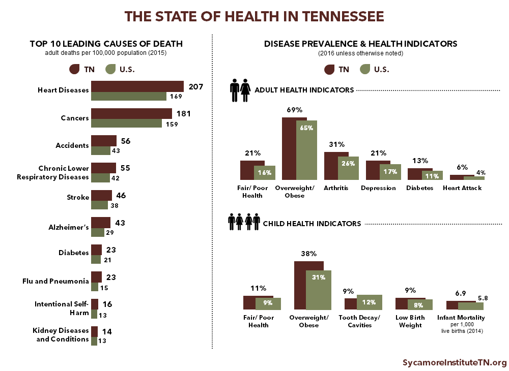 The State of Health in Tennessee