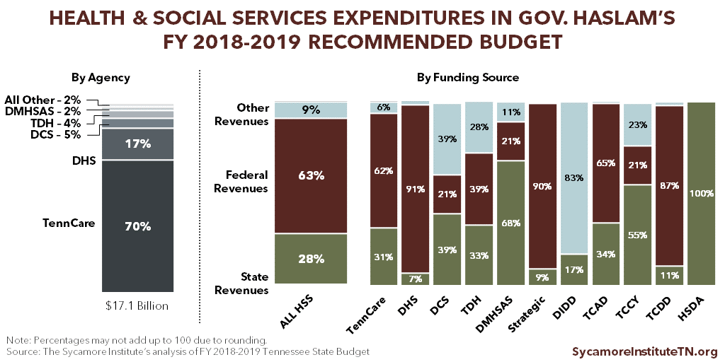 Health & Social Services Expenditures in Gov. Haslam's FY 2018-2019 Recommended Budget