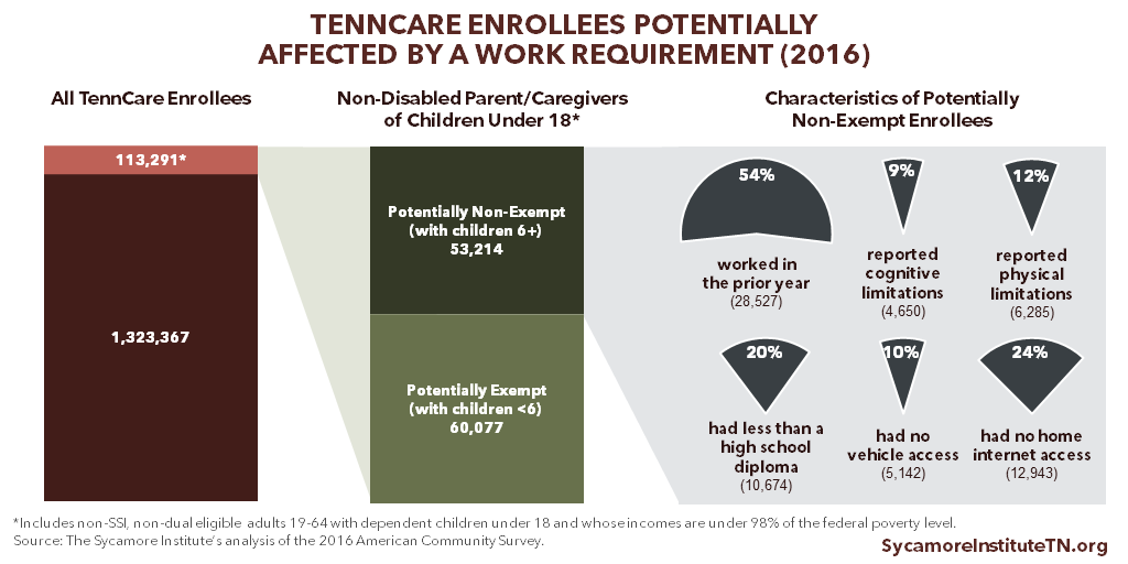 TennCare Enrollees Potentially Affected by a Work Requirement (2016)