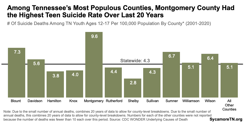 Among Tennessee’s Most Populous Counties, Montgomery County Had the Highest Teen Suicide Rate Over Last 20 Years