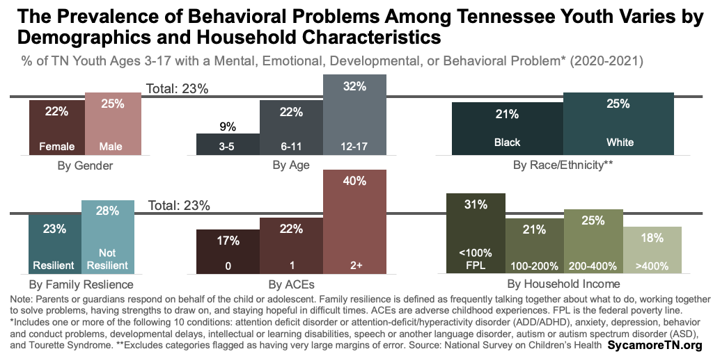The Prevalence of Behavioral Problems Among Tennessee Youth Varies by Demographics and Household Characteristics