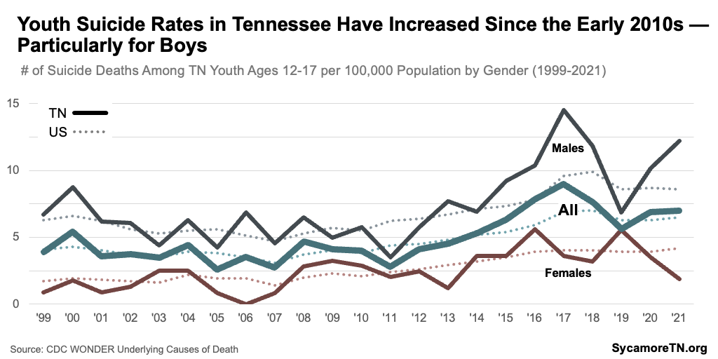 Youth Suicide Rates in Tennessee Have Increased Since the Early 2010s — Particularly for Boys
